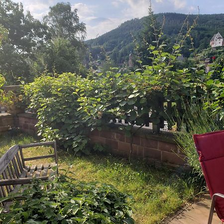 Panorama-Blick Miltenberg, 3 Pers., Zentr., Am Main, Terrasse, Bootverleih, P Esterno foto