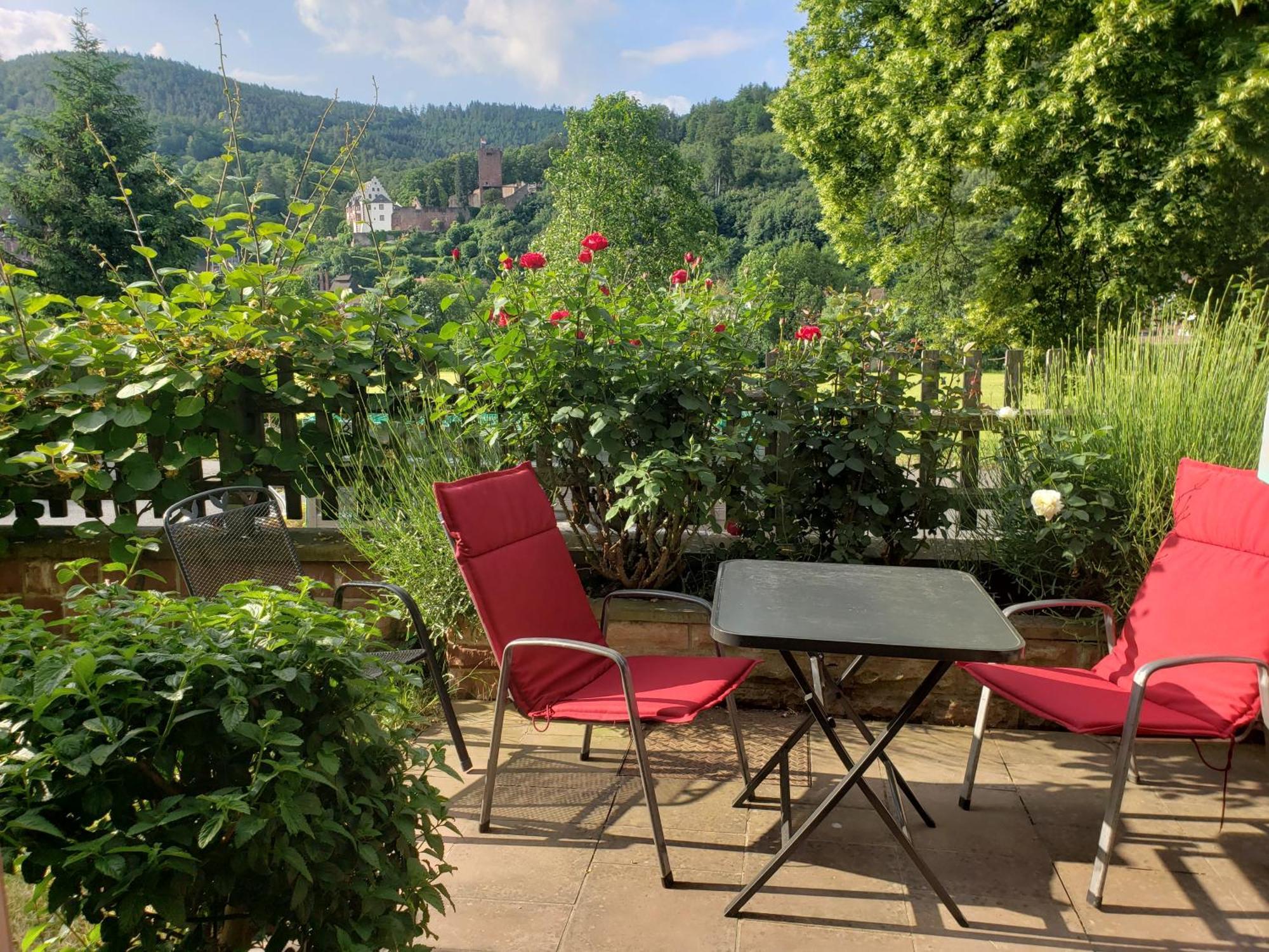 Panorama-Blick Miltenberg, 3 Pers., Zentr., Am Main, Terrasse, Bootverleih, P Esterno foto