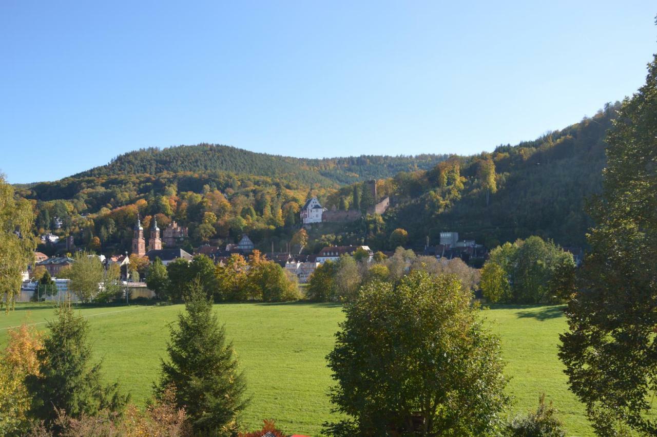 Appartamento Panorama-Blick Miltenberg, 3 Pers., Zentr., Am Main, Terrasse, Bootverleih, P Esterno foto