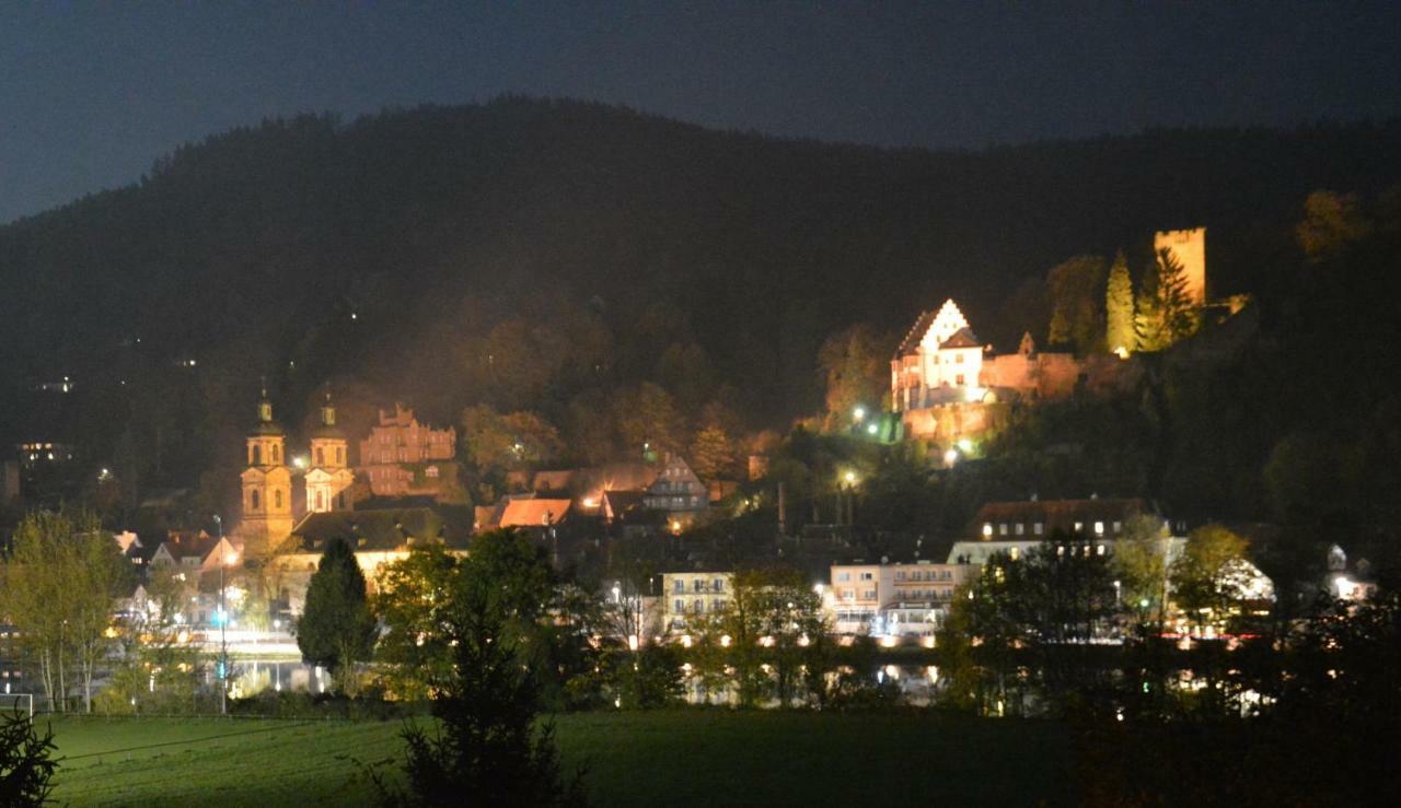 Panorama-Blick Miltenberg, 3 Pers., Zentr., Am Main, Terrasse, Bootverleih, P Esterno foto