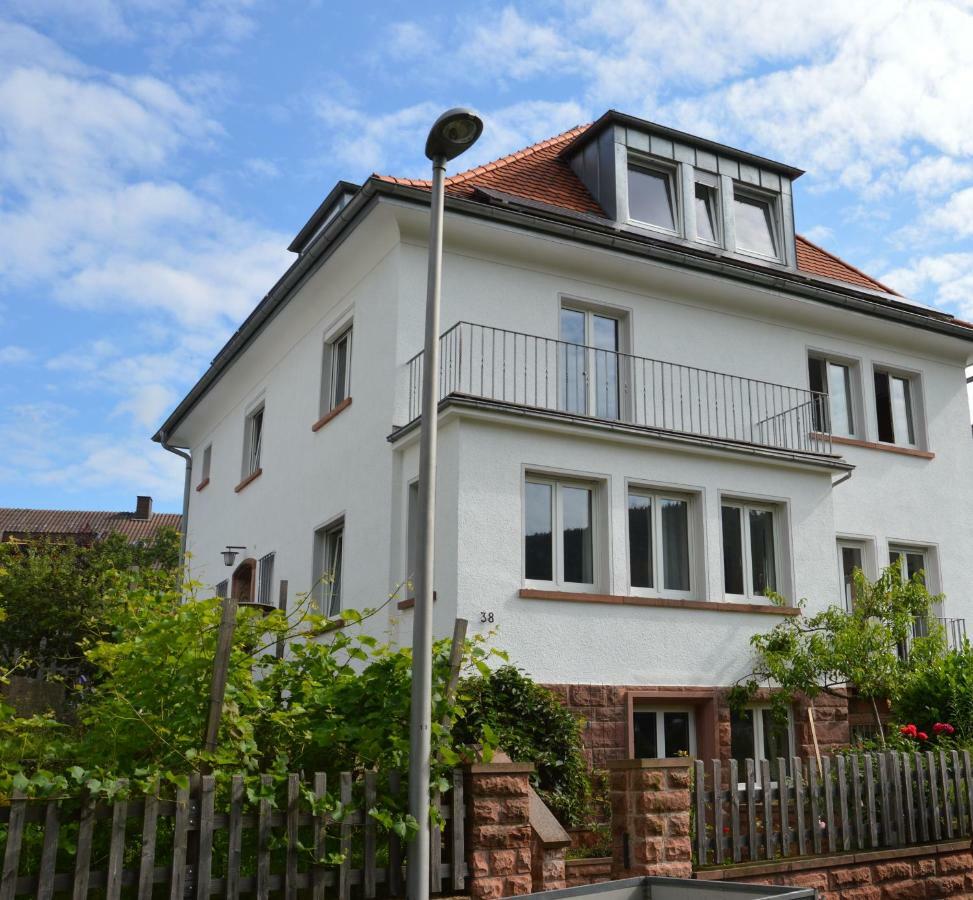 Panorama-Blick Miltenberg, 3 Pers., Zentr., Am Main, Terrasse, Bootverleih, P Esterno foto
