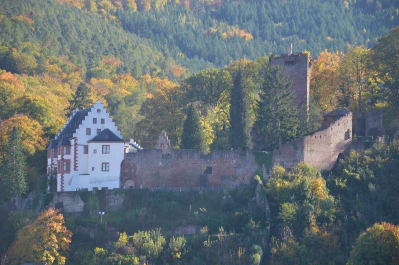 Panorama-Blick Miltenberg, 3 Pers., Zentr., Am Main, Terrasse, Bootverleih, P Esterno foto