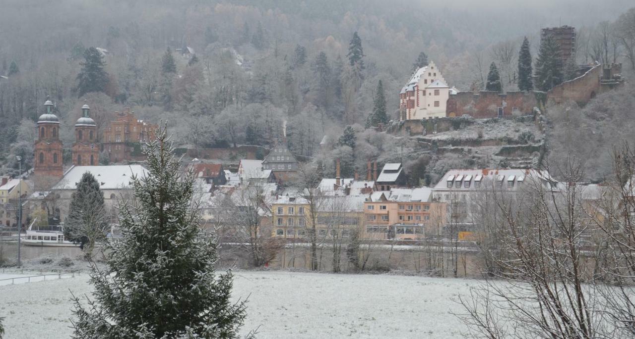 Appartamento Panorama-Blick Miltenberg, 3 Pers., Zentr., Am Main, Terrasse, Bootverleih, P Esterno foto