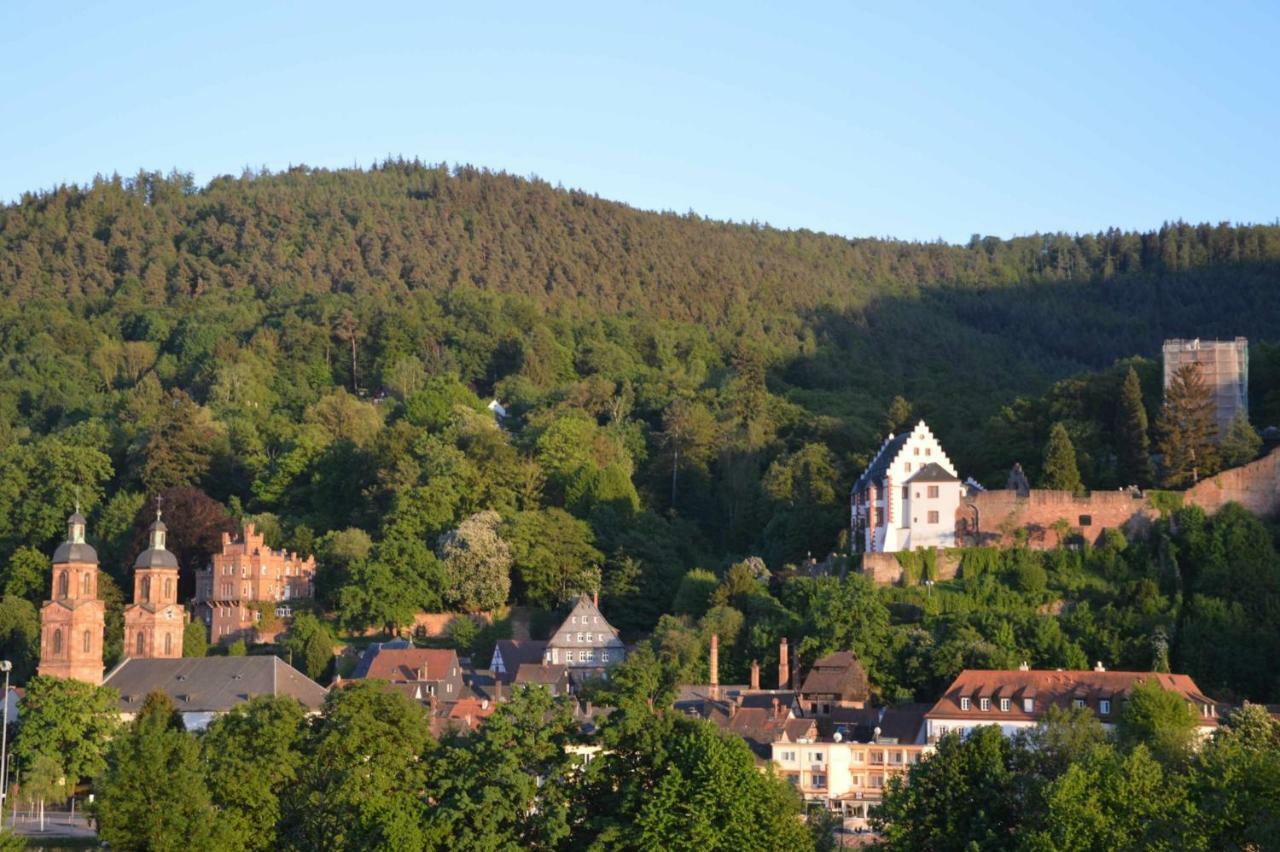 Panorama-Blick Miltenberg, 3 Pers., Zentr., Am Main, Terrasse, Bootverleih, P Esterno foto