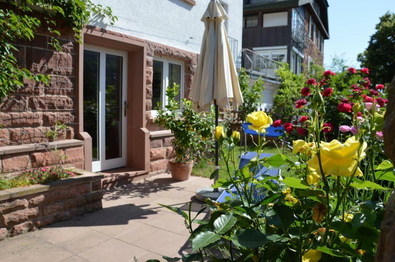 Panorama-Blick Miltenberg, 3 Pers., Zentr., Am Main, Terrasse, Bootverleih, P Esterno foto